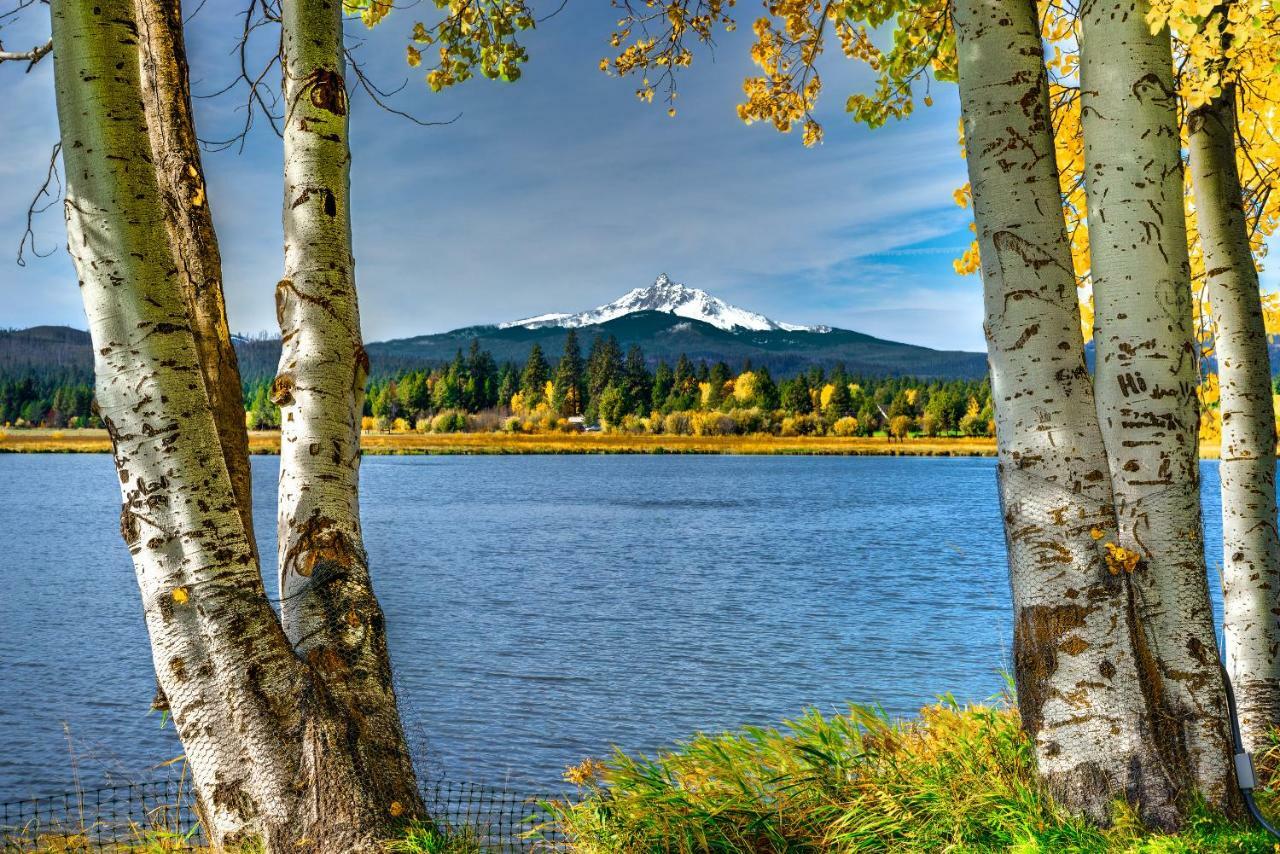Вилла Black Butte Ranch: Partridge Foot Cabin Lot #Rr83 Систерс Экстерьер фото