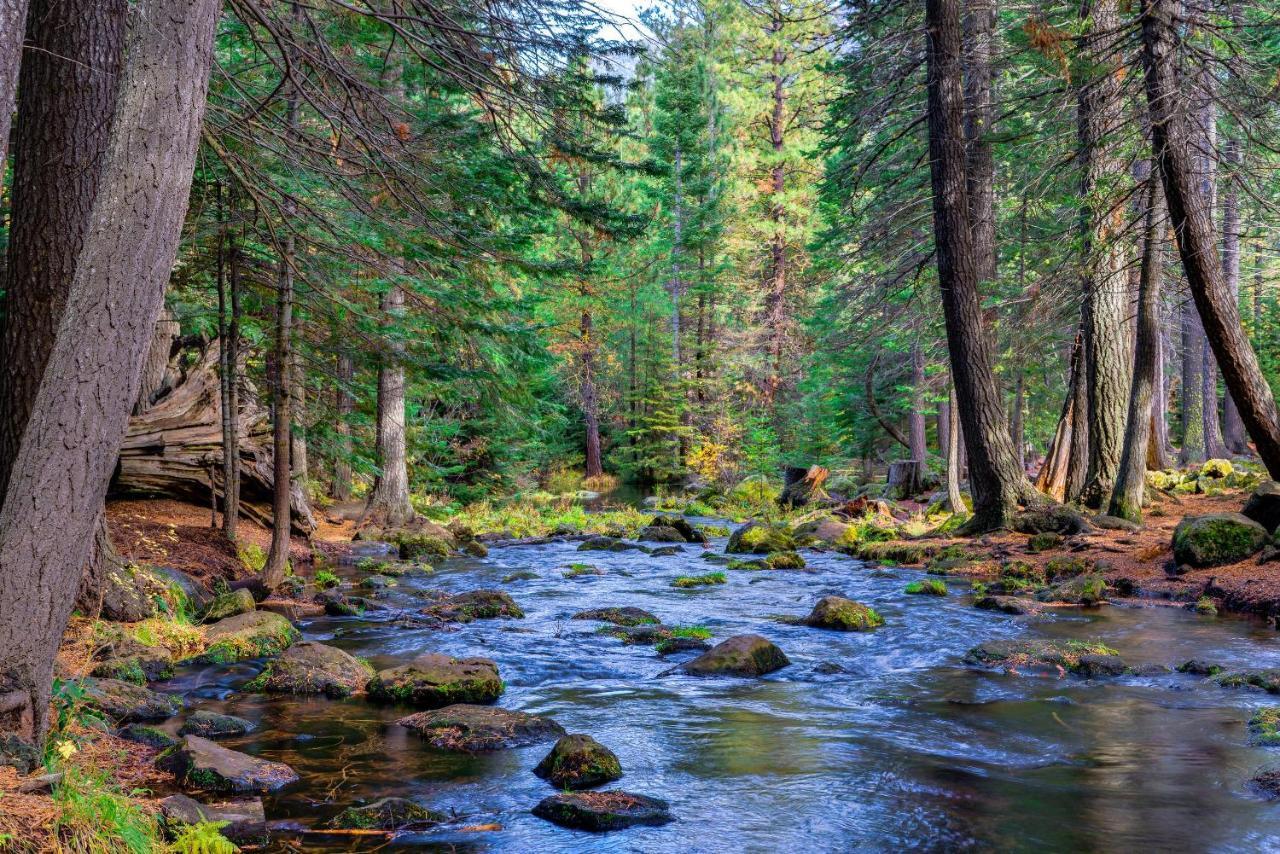 Вилла Black Butte Ranch: Partridge Foot Cabin Lot #Rr83 Систерс Экстерьер фото